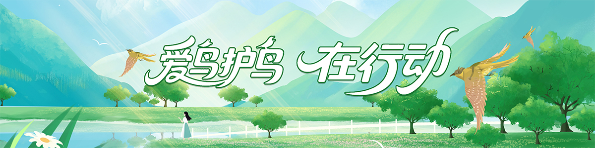 ���B�o(h��)�B���Є�